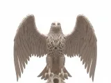EAGLE-1