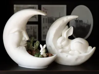 Moon Rabbit