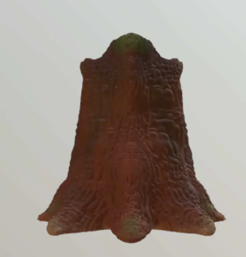 Tree Stump