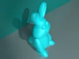cute bunny-5