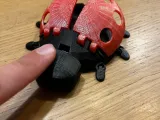 articulated ladybug-3