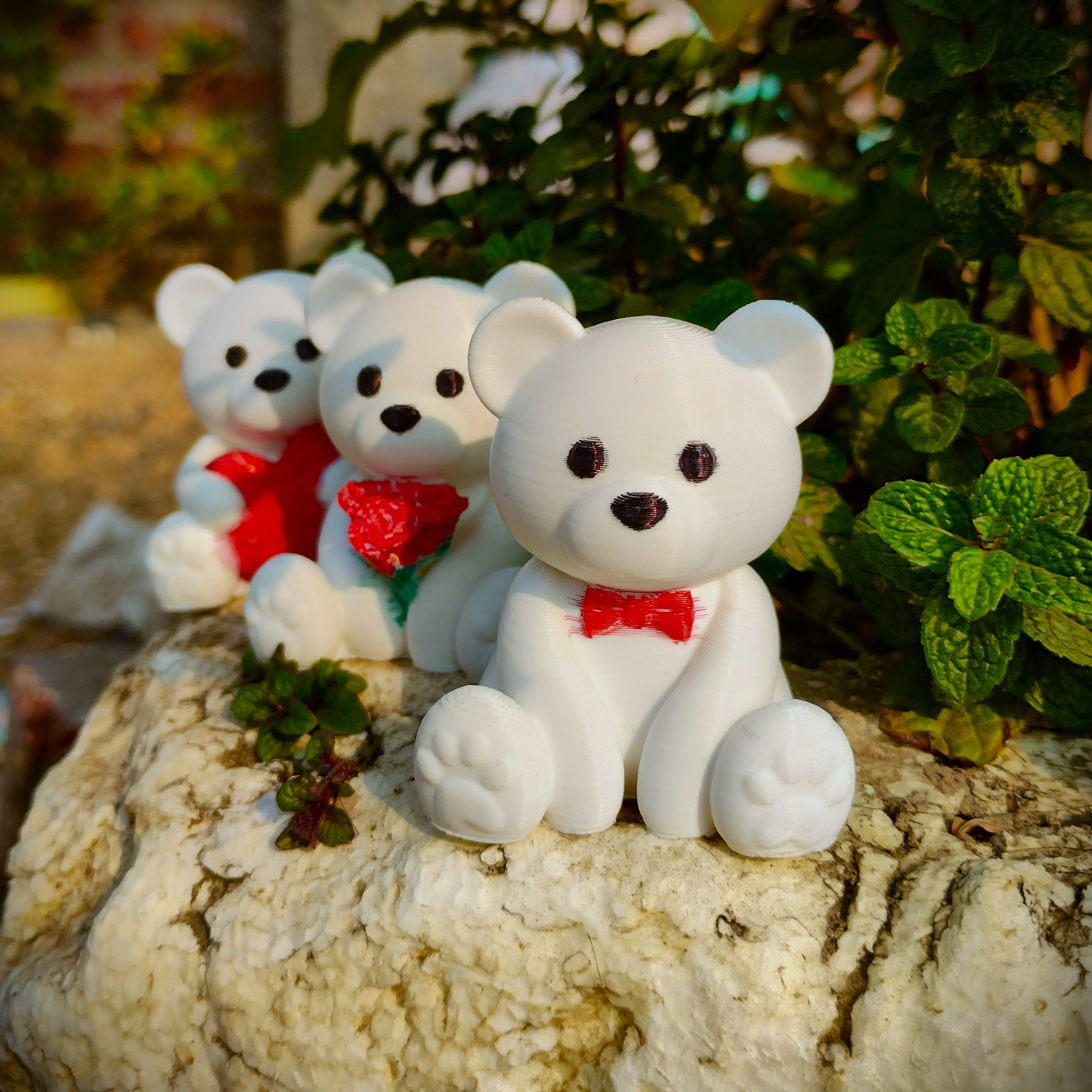 Valentine's Special - Teddy Bear Collection