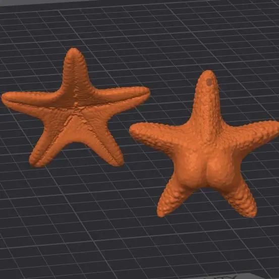 Llavero e iman estrella culona |  Big ass star keychain