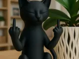 Middle finger cat-0