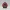 Lucky Stitch Ladybug Guardian – Noah0x03