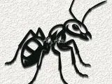 ANT INSECT BUG WALL ART HOME DECOR-0
