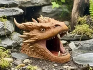 dragon head hide