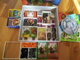 Viscounts of the West Kingdom Organizer-3