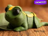 Cute Flexi Frog-6