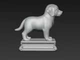 Tiny Puppy-5