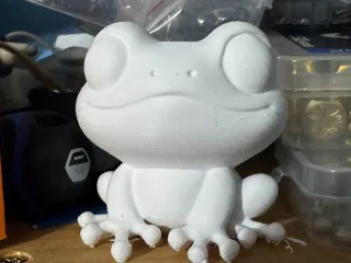 Sir Frog the Frog