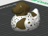 German Shorthaired Pointer Jeep Cruise Duck-2