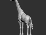 GIRAFFE-8