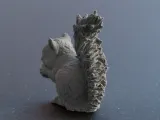 Cute Squirrel eating a Nut-3