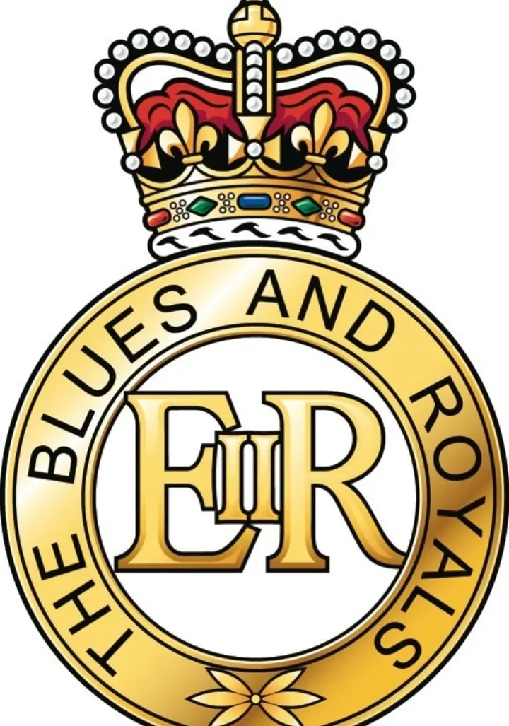 Blues's And Royals Cap Badge 