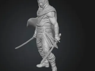 Ninja 7