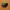 Maceta / wall planter W-SPH-02