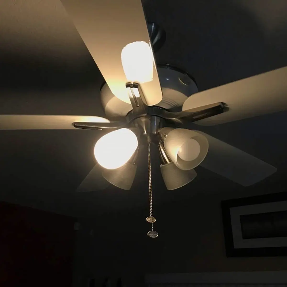 Ceiling fan enclosed light cover/diffuser
