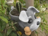 SCHNAUZER POT-8