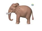Elephant-3