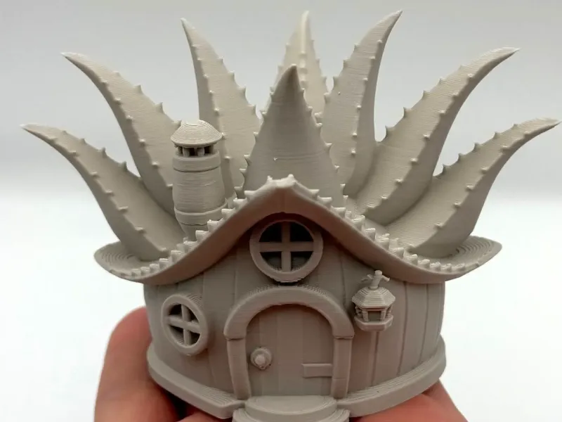 Aloe Fairy House