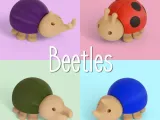 Beetles-6