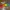 Puzzle Éducatif | Couleurs, Chiffres et Formes !