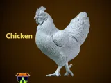 Chicken steps decor urban vibes-1