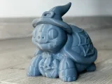 Wanda the Witchy Turtle-4