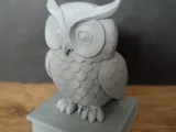 Wise Owl-2
