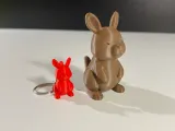 Cute Kangaroo-2