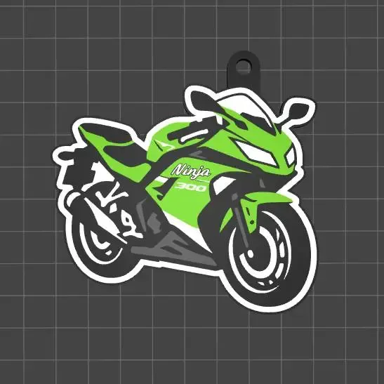 Kawasaki Ninja 300 Keychain