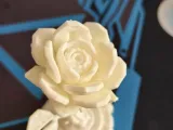 Cyber Rose-2