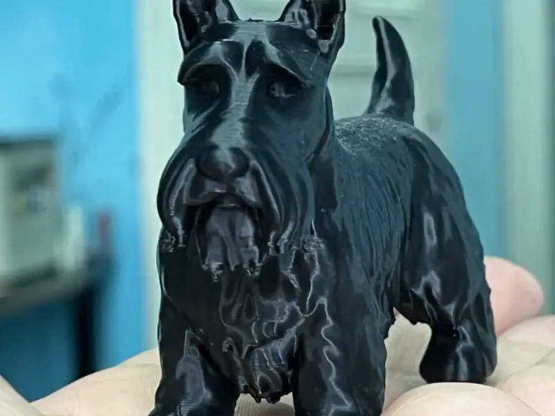 Scottish Terrier