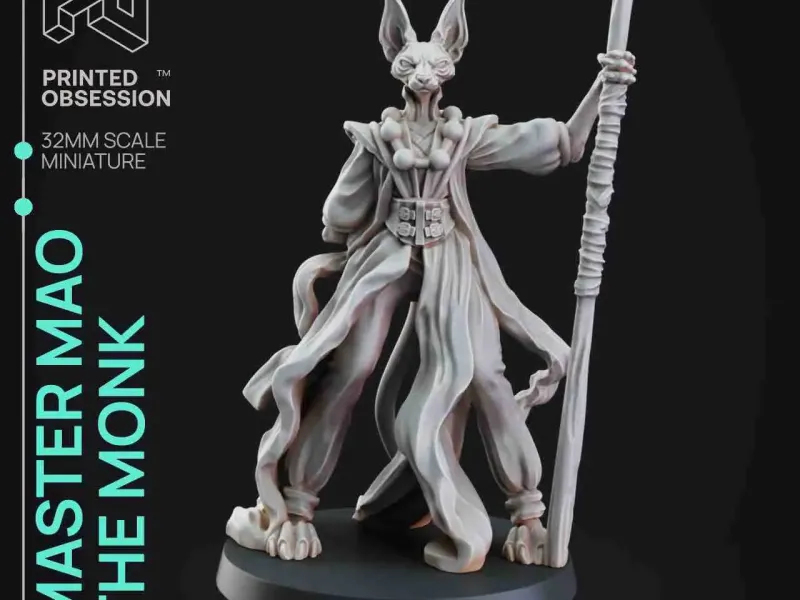 Monk - Tabaxi Caravan -Presupported - Illustrated and Stats 