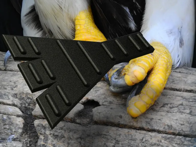 BIRD SLIPPER / PROSTHETIC