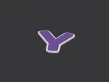 Y-1