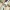 Bowden replacement, useful for filament tube to splitter