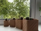 Planter-1