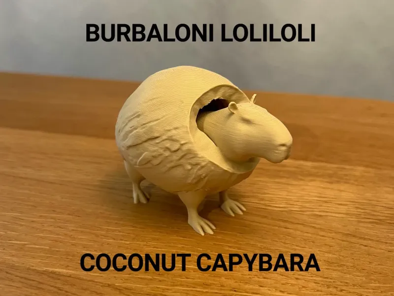Burbaloni Loliloli - Кокосовая капибара