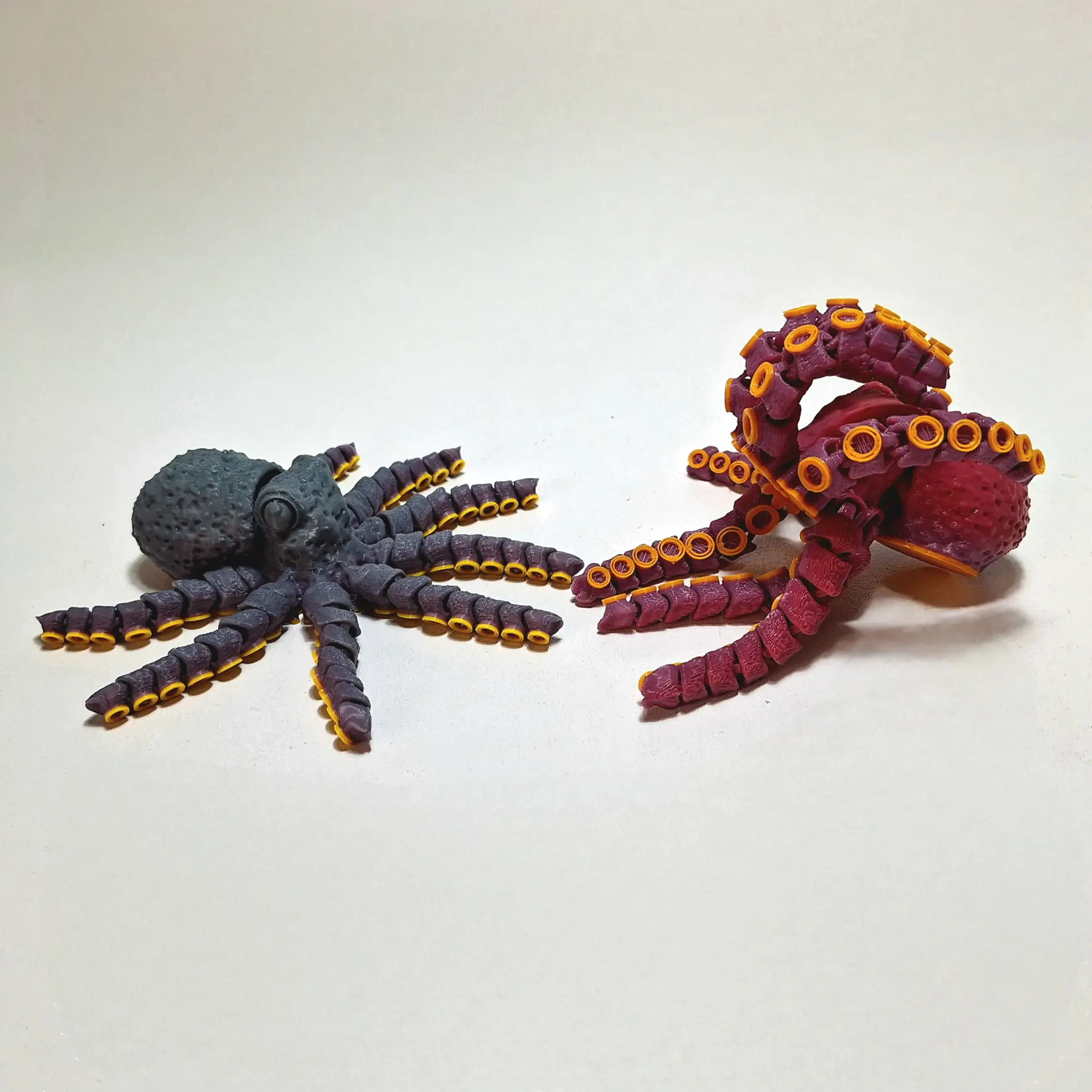 MINI OCTOPUS!