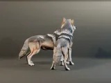 Embracing Wolf Couple Figurine 3D Model-2