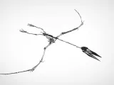 Pterodactyl skeleton-0