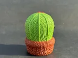 Cactus de punto-3