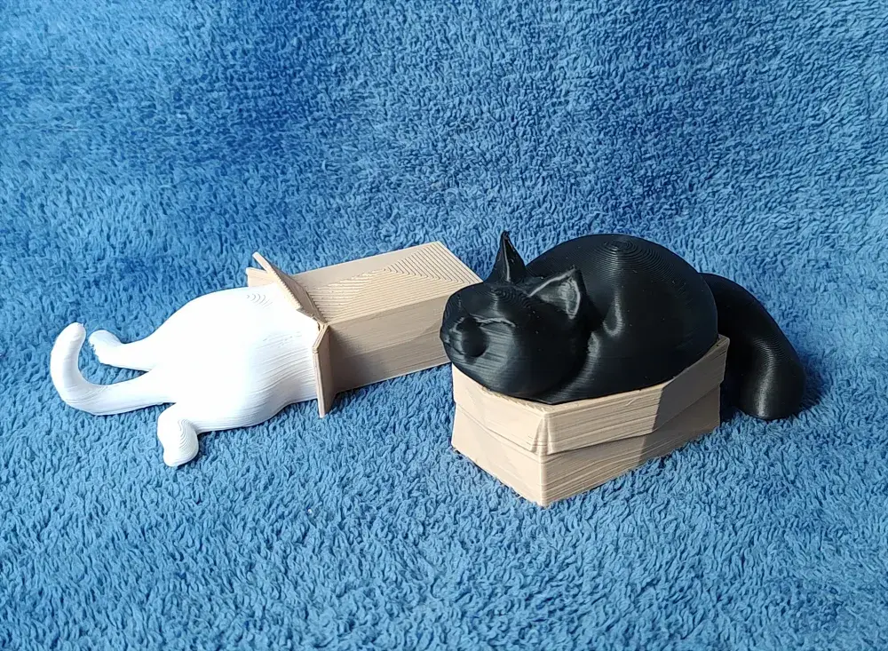 Cats in Boxes