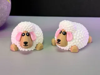Cute Sheep