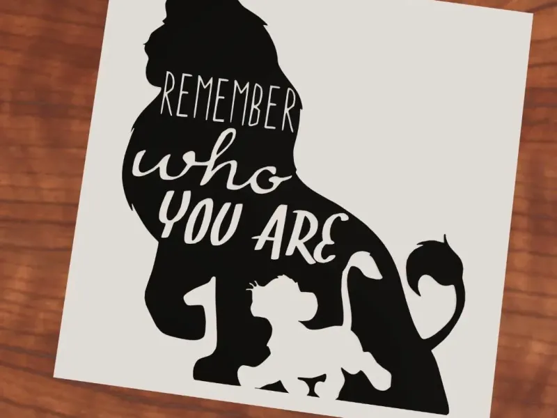 Remember who you are Simba and Mufasa Lion King
