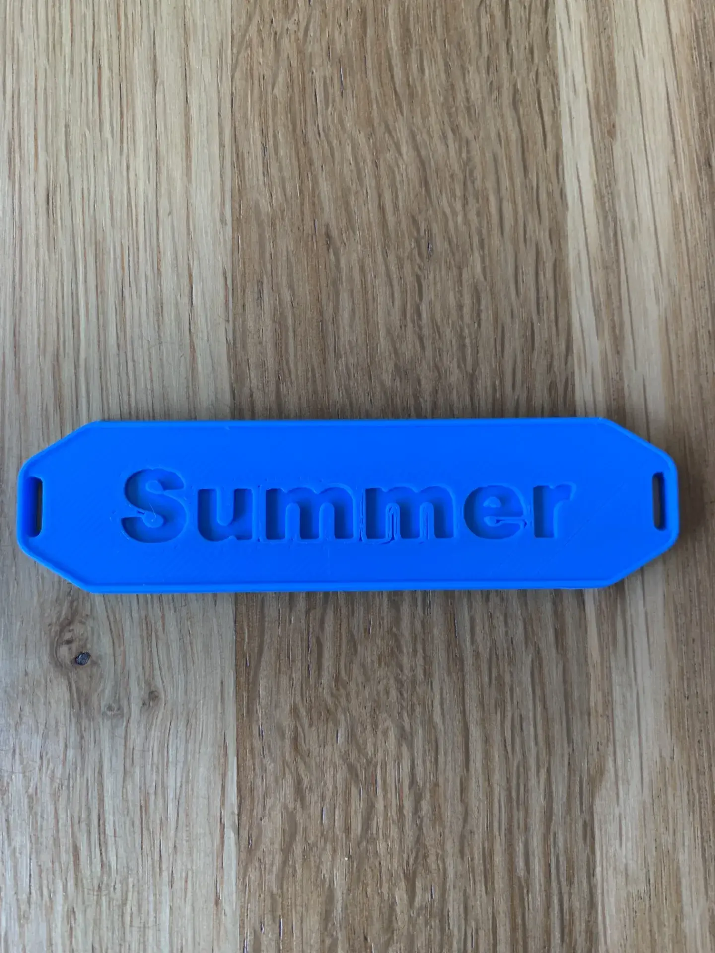 Personalised Bag Tags (with names)