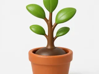 Tiny Sprout in a Pot