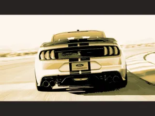 Shelby 1 - Canvas Multicolor